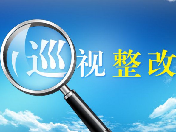 中共甘肅演藝集團有限責(zé)任公司委員會關(guān)于巡視整改進(jìn)展情況的通報